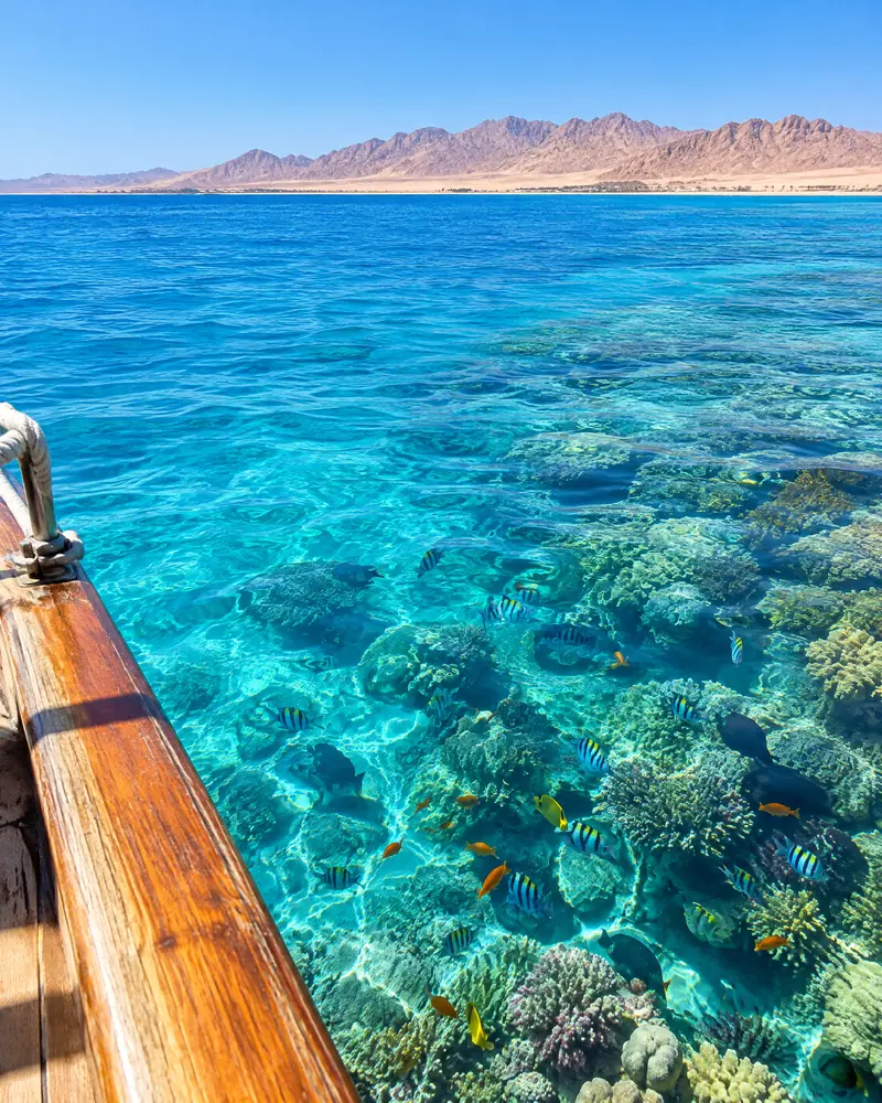Red Sea reefs, Hurghada